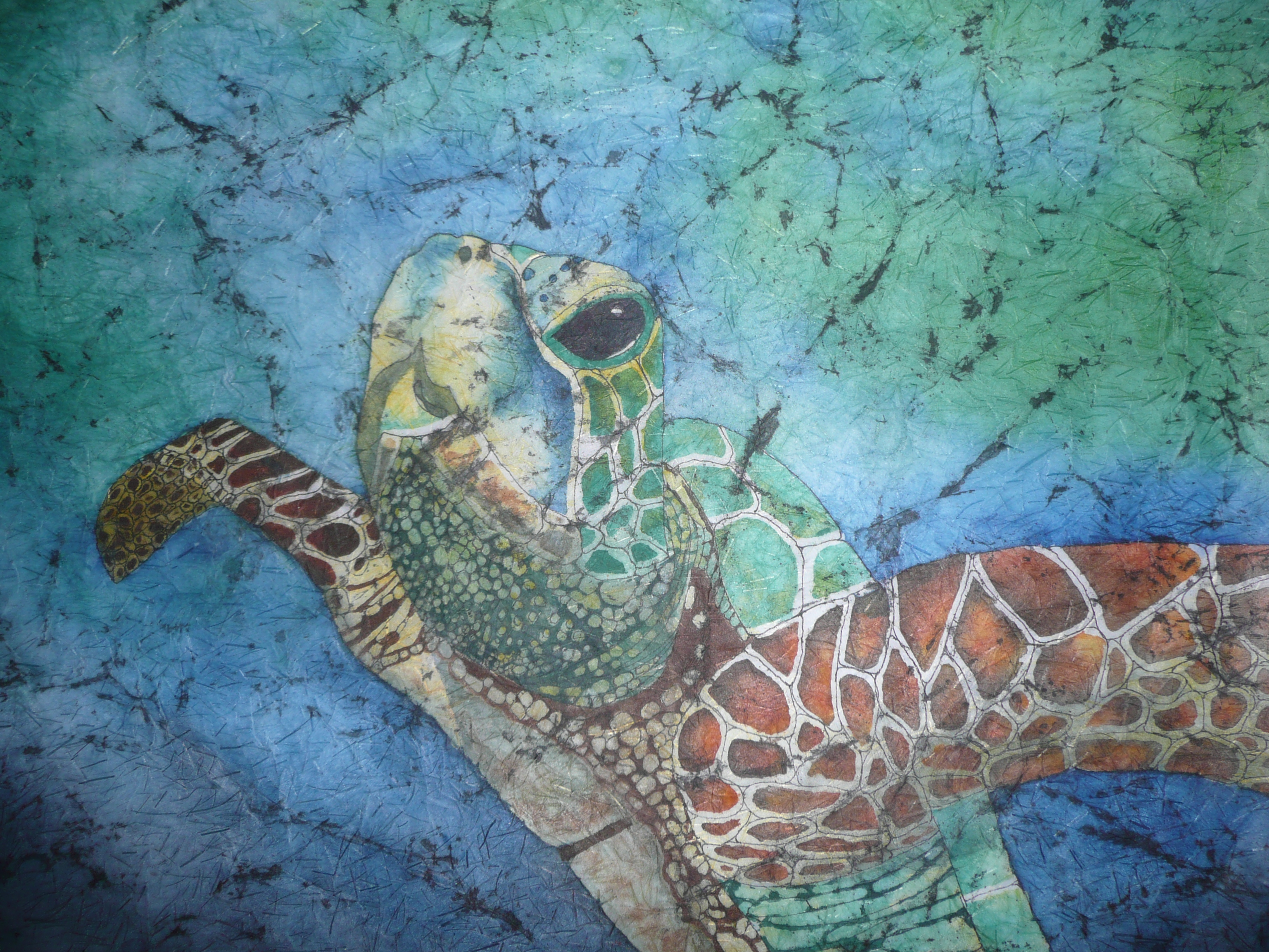 Eye to Eye Sea Turtle