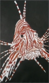 Lionfish