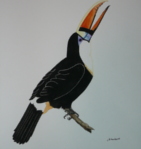 Toucan